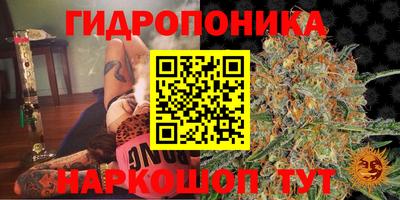 ПСИЛОЦИБИНОВЫЕ ГРИБЫ Славгород