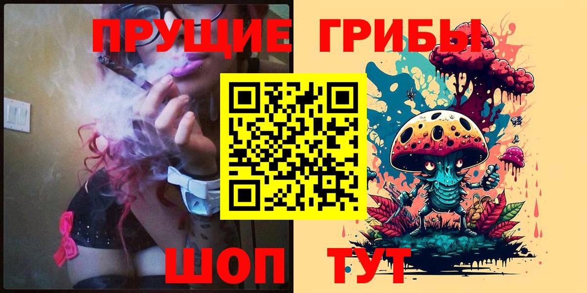 где можно купить наркотик  Псилоцибиновые грибы ЛСД  Вход с VPN  Новочебоксарск 