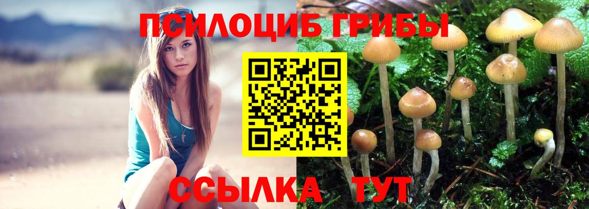 Галлюциногенные грибы MAGIC MUSHROOMS Новочебоксарск
